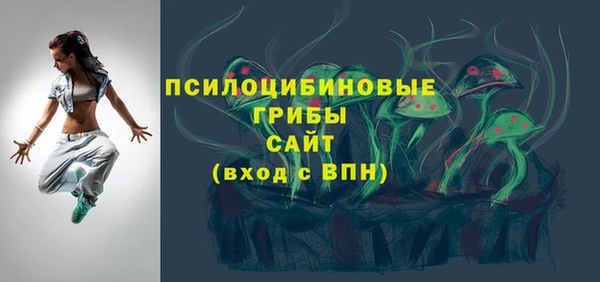 молекула духа Арсеньев