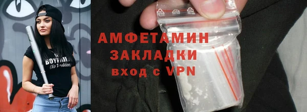 молекула духа Арсеньев