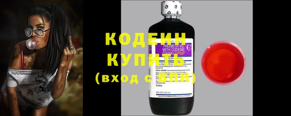 молекула духа Арсеньев