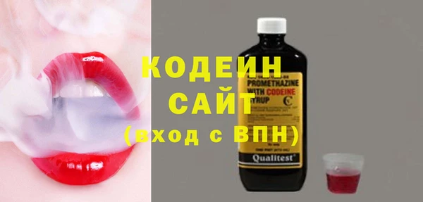 молекула духа Арсеньев