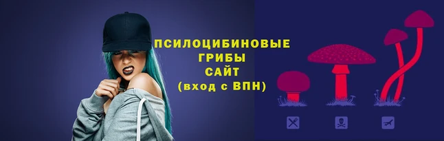 ALPHA-PVP Армянск