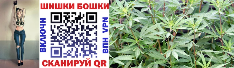 mega как зайти  Ноябрьск  дарк нет Telegram  Марихуана планчик 